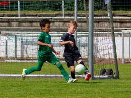 Hillen Cup 2024